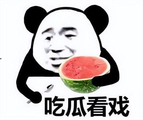 坐等吃瓜表情包图片搞笑,坐等吃瓜表情包，欢乐无限！
